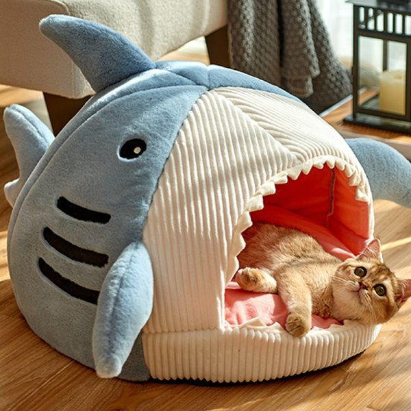 Shark Bed 4