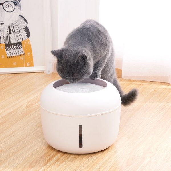 Automatic Pet Drinking Water Fountain 1