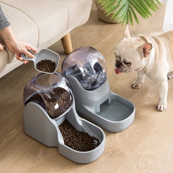 Fish Bowl Style Automatic Feeder