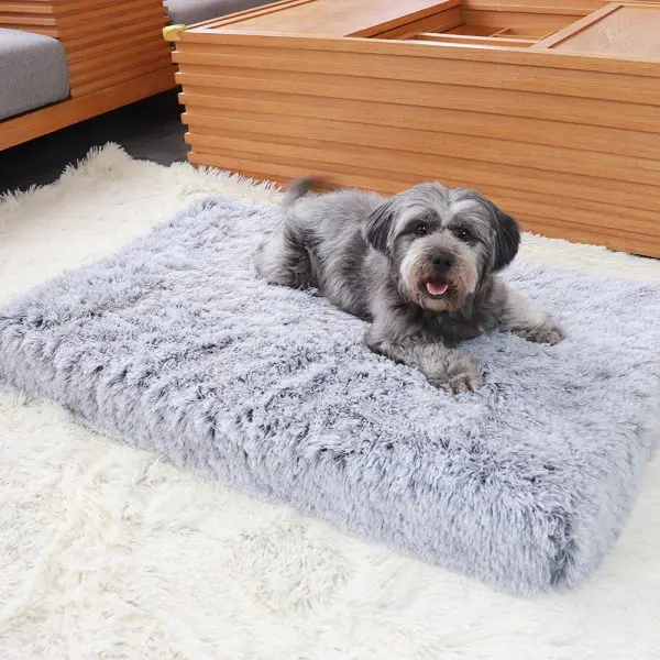 Pampered Pooch Perfection: Parody Chewy Vuiton Plush Dog Beds