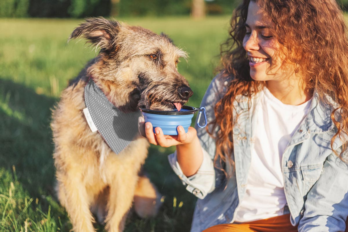 Portable Dog Water Bottle The Perfect Accessory for Active Pets - The Perfect Accessory for Active Pets | Portable Dog Water Bottle